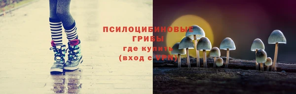 mdpv Богородицк