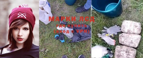 гидропоника Богородск