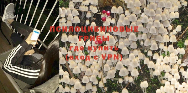 тгк Бородино