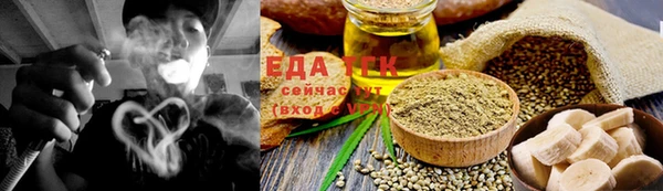 тгк Бородино