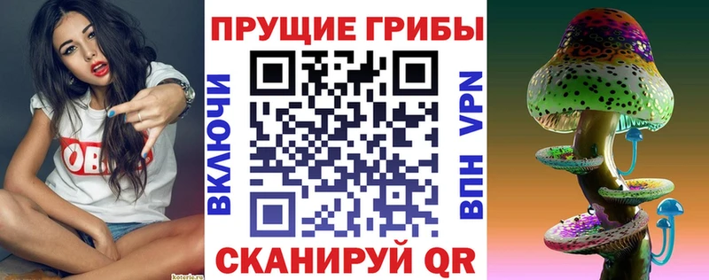 Купить  Руза  Галлюциногенные грибы Psilocybe 
